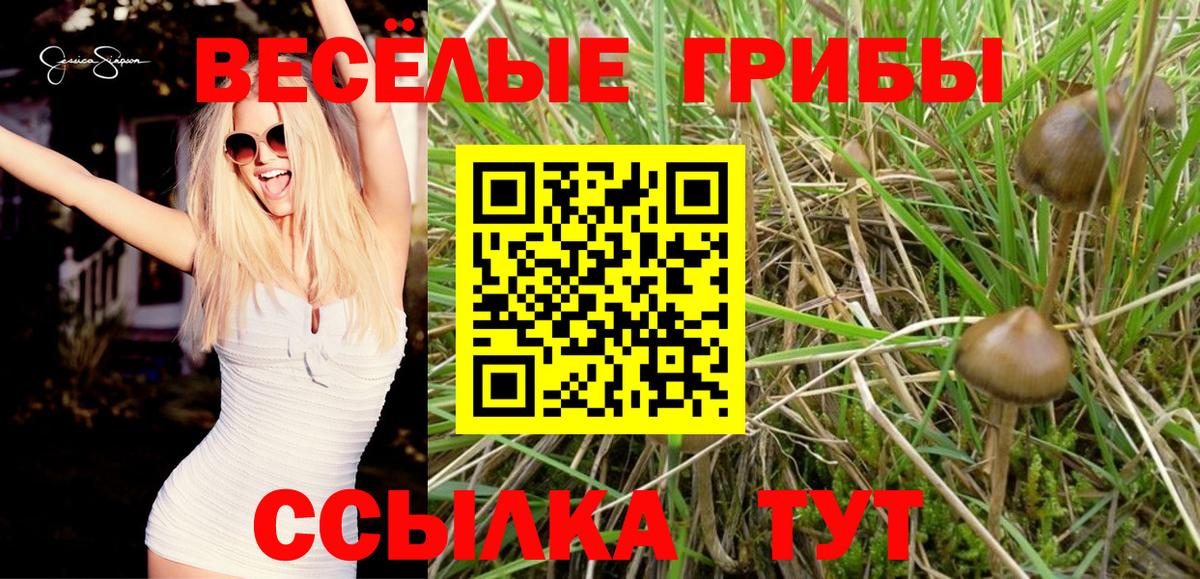 Галлюциногенные грибы ЛСД Тобольск
