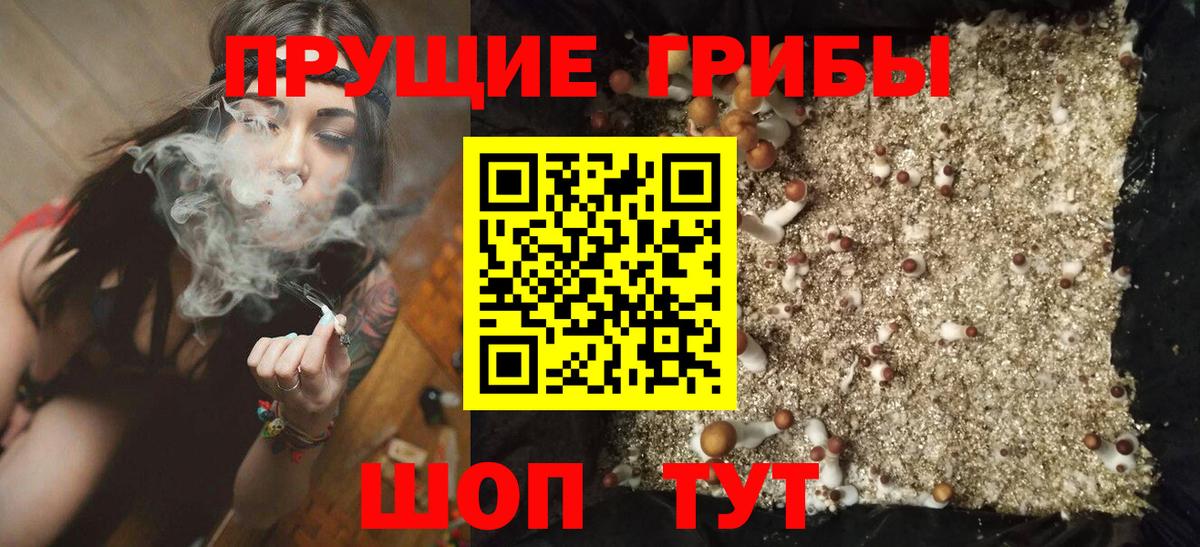 цена наркотик  Псилоцибиновые грибы GOLDEN TEACHER  Вход с VPN  Тобольск 